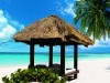 Anime Fantasy Palm Tree Sea Summer Wide On The Pictures D 509575 Wallpaper wallpaper