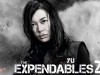 Yu Nan in The Expendables 2 wallpaper