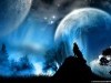 Wild Animals Blue Stars Planets Moon Wolf Wolves 585177 Wallpaper wallpaper