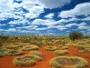 Old Spinifex Rings  Little Sandy Desert... wallpaper